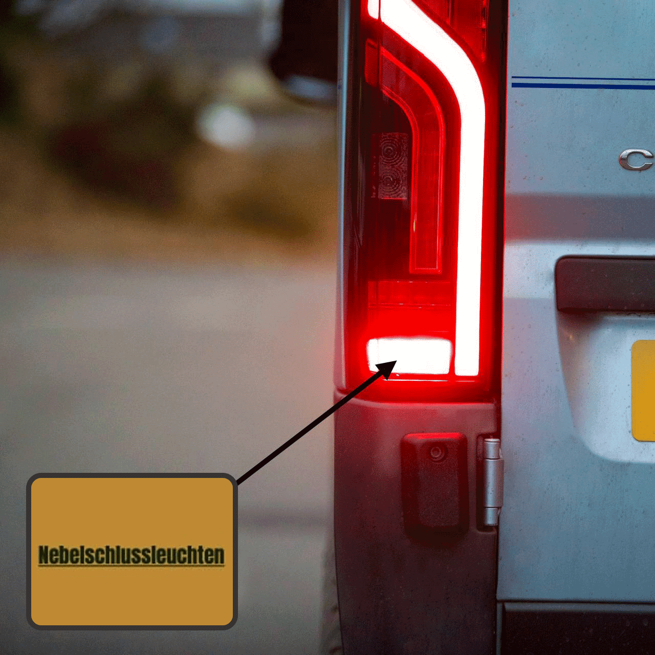Fiat Ducato full LED Rear Lights Cluster, Tailight, Rear Light Unit, R ...